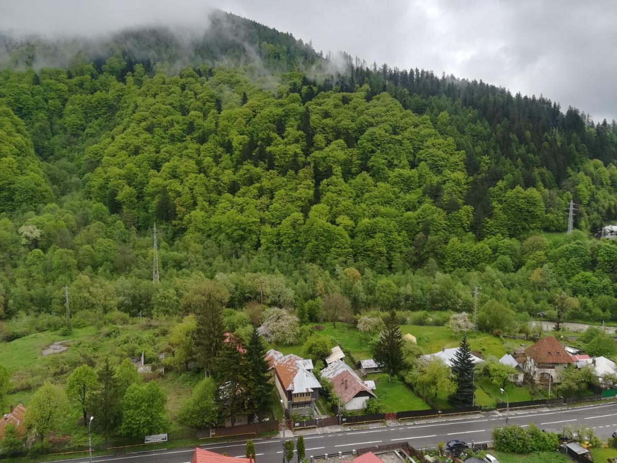 Sinaia Q Marie Apartment エクステリア 写真