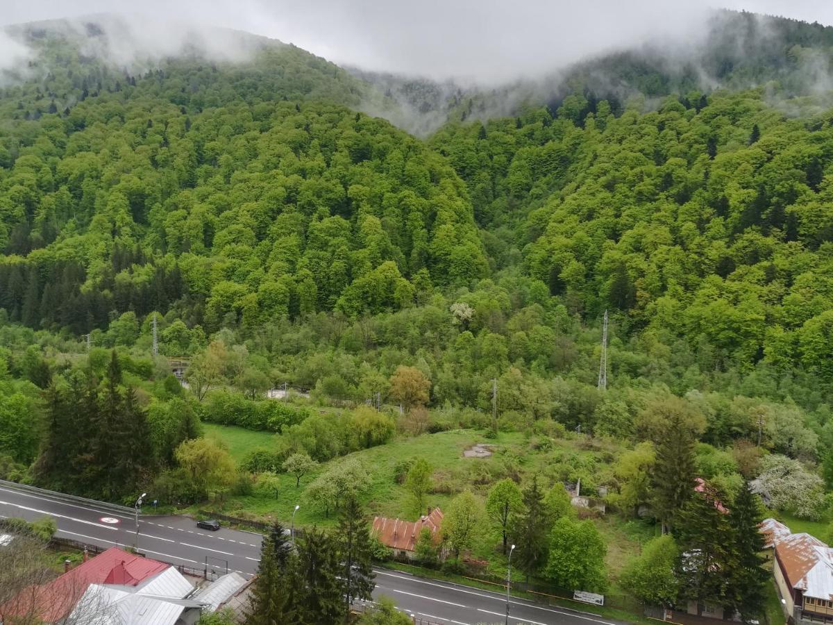 Sinaia Q Marie Apartment エクステリア 写真